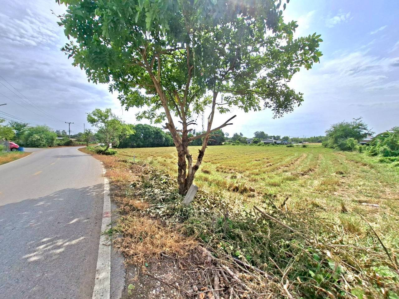 ขายที่ดินติดถนนสองด้าน ตำบลหนองกบ, อำเภอบ้านโป่ง – รูปที่ 2