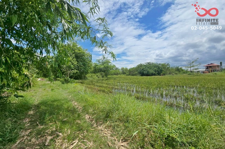 ขายที่ดิน 300 ตร.ว. ตำบลขุนคง อำเภอหางดง เชียงใหม่ แปลงสวย ใกล้บ้านถวาย – รูปที่ 4