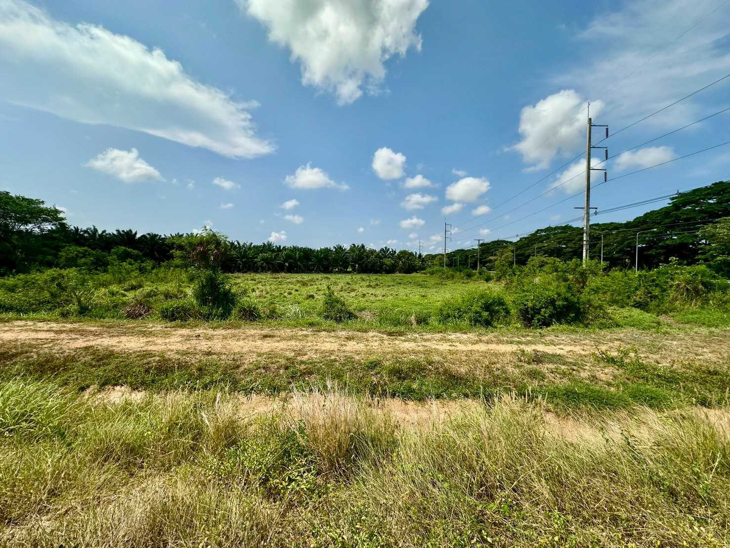 Empty land for sale, area 8-3-37.5 rai, next to Phetkasem Road, up Bangkok. – รูปที่ 4