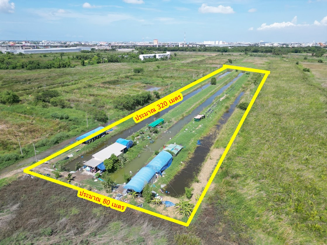  ขายที่ดินทำเลศักยภาพ บางนา-ตราด กม.26 ผังสีส้ม แปลงสวย  เหมาะลงทุนและพัฒนาโครงการ – รูปที่ 2