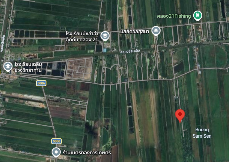 Land for sale 1 ngan 10 sq m., Don Ko Ka Subdistrict. Bang Nam Priao District Chachoengsao Province Light green city plan, quiet location, surrounded by nature.  Suitable for building a house, garden house or buying for future investment. Travel connectin – รูปที่ 2