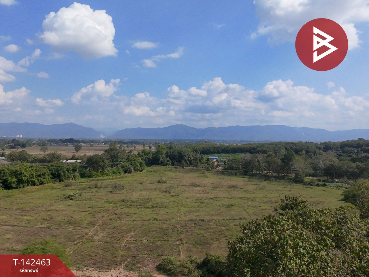  ขายที่ดิน เนื้อที่ 24 ไร่ 66.6 ตร.วา เชียงของ เชียงราย – รูปที่ 3