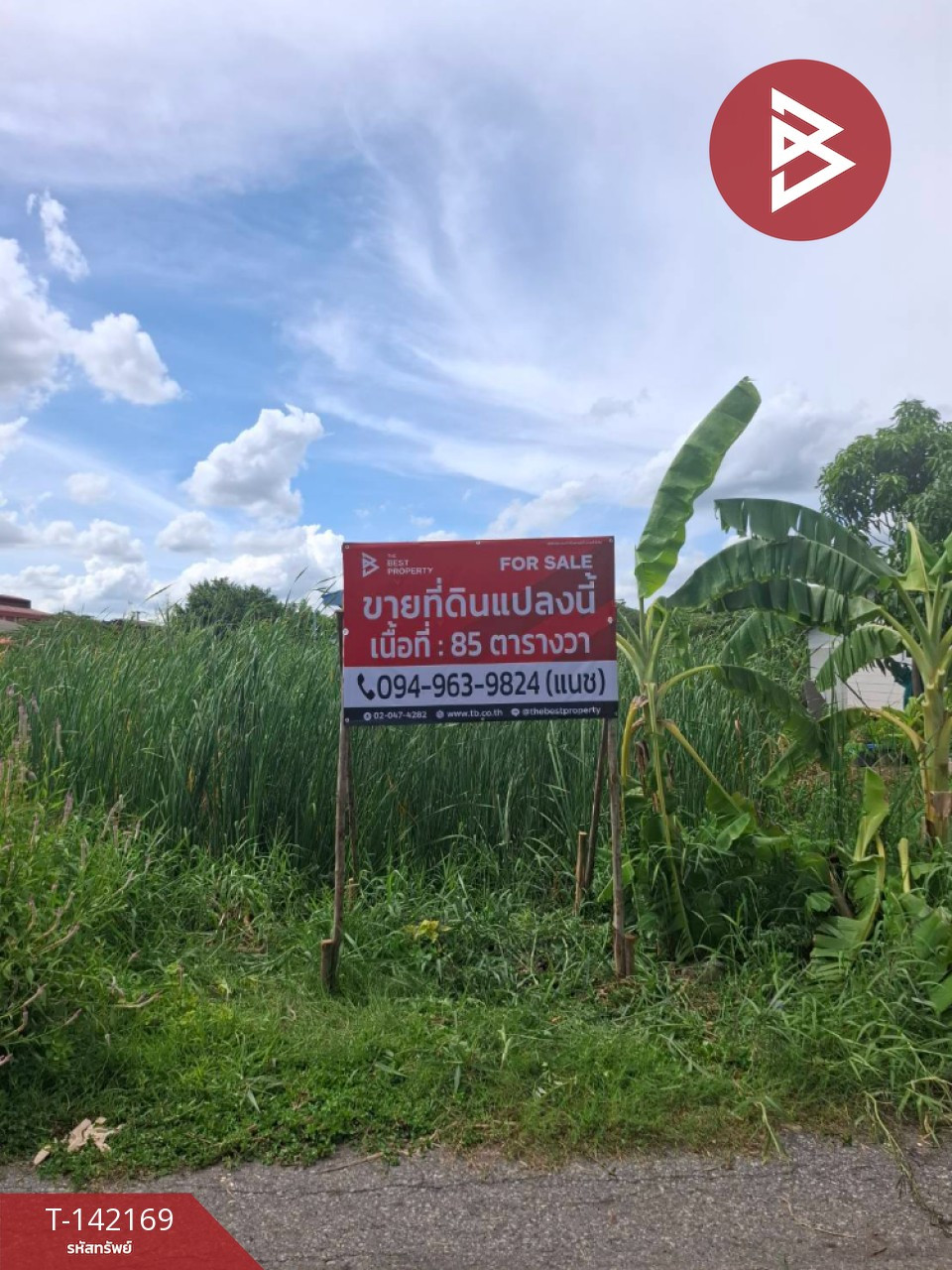 ขายที่ดิน เนื้อที่ 85 ตร.วา คลองหลวง ปทุมธานี – รูปที่ 2
