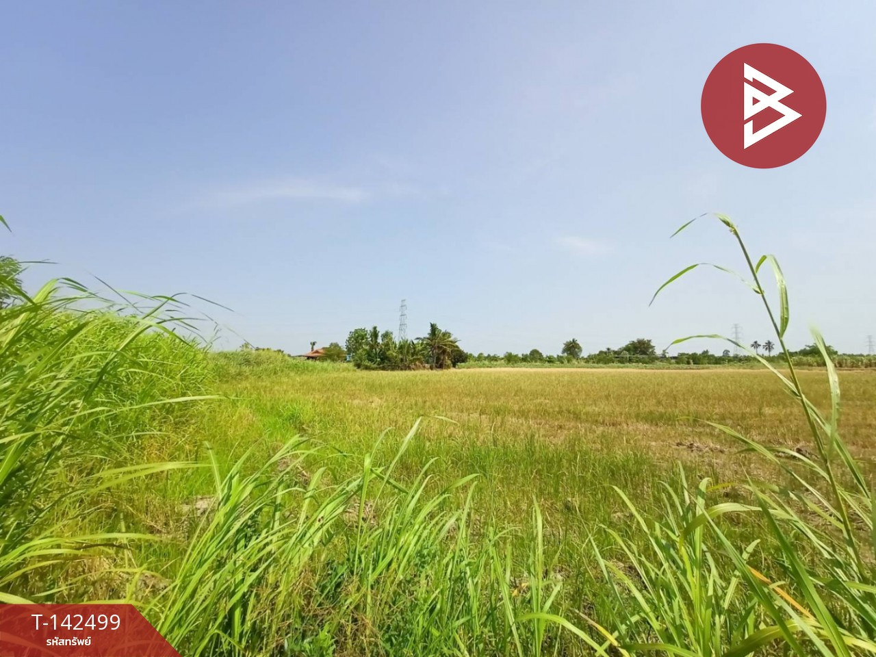 ขายที่ดิน เนื้อที่ 2 ไร่ 2 งาน 99.2 ตร.วา บ้านมะเกลือ นครสวรรค์ ขายที่ดิน เนื้อที่ 2 ไร่ 2 งาน 99.2 ตร.วา บ้านมะเกลือ นครสวรรค์