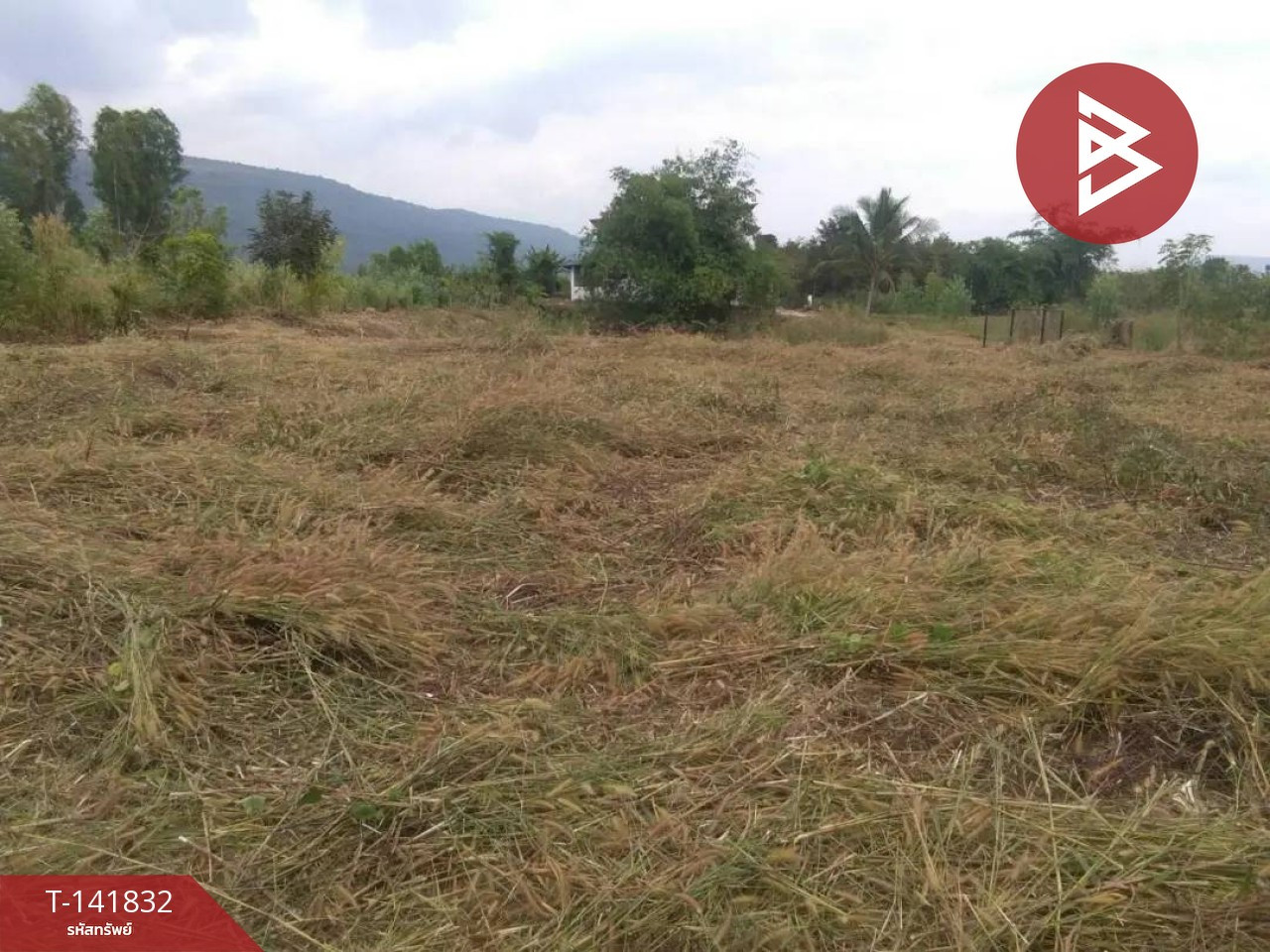 Land for sale, area 5 rai 38 square wah with 2 buildings, Tha Muen Ram, Wang Thong, Phitsanulok. Land for sale, area 5 rai 38 square wah with 2 buildings, Tha Muen Ram, Wang Thong, Phitsanulok.