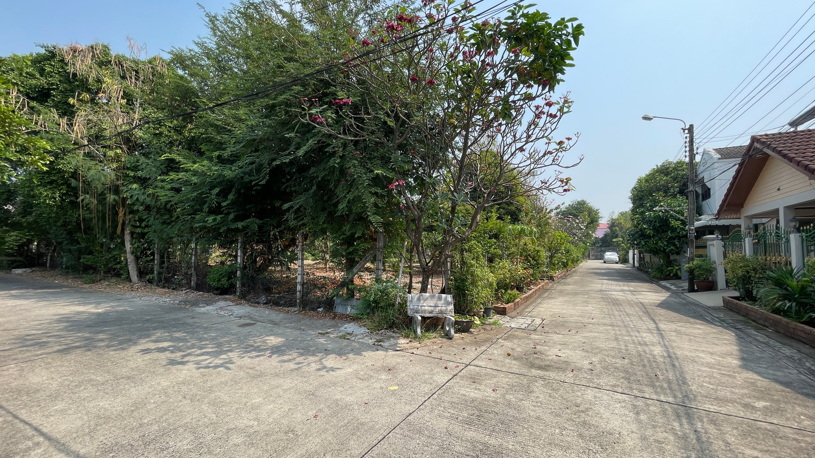 ขายที่ดินลาดพร้าว 87  พื้นที่รวม 336.5 ตร.วา 2 แปลงติดกัน แปลงใหญ่ในทำเลเมือง ใกล้ Central EastVille