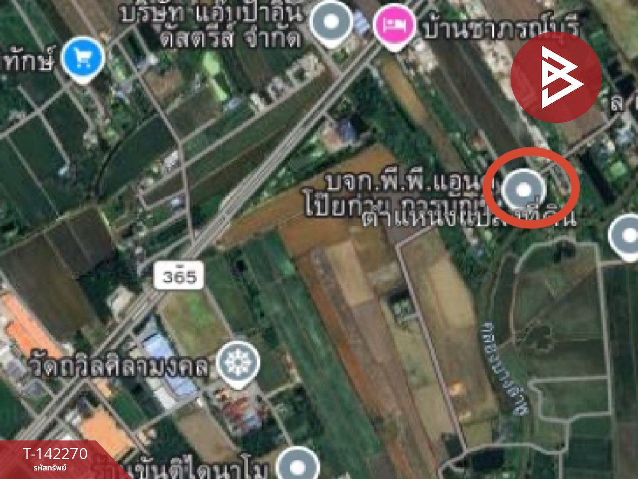ขายที่ดิน เนื้อที่เริ่มต้น 80.9 ตร.วา ท่าไข่ ฉะเชิงเทรา – รูปที่ 4