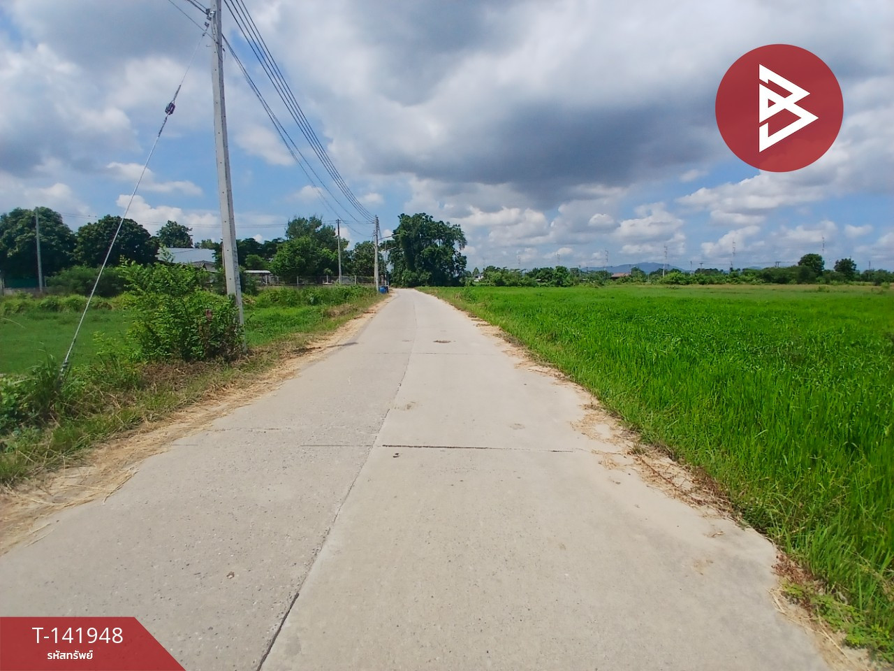 ขายที่ดิน เนื้อที่ 5 ไร่ พนัสนิคม ชลบุรี – รูปที่ 3