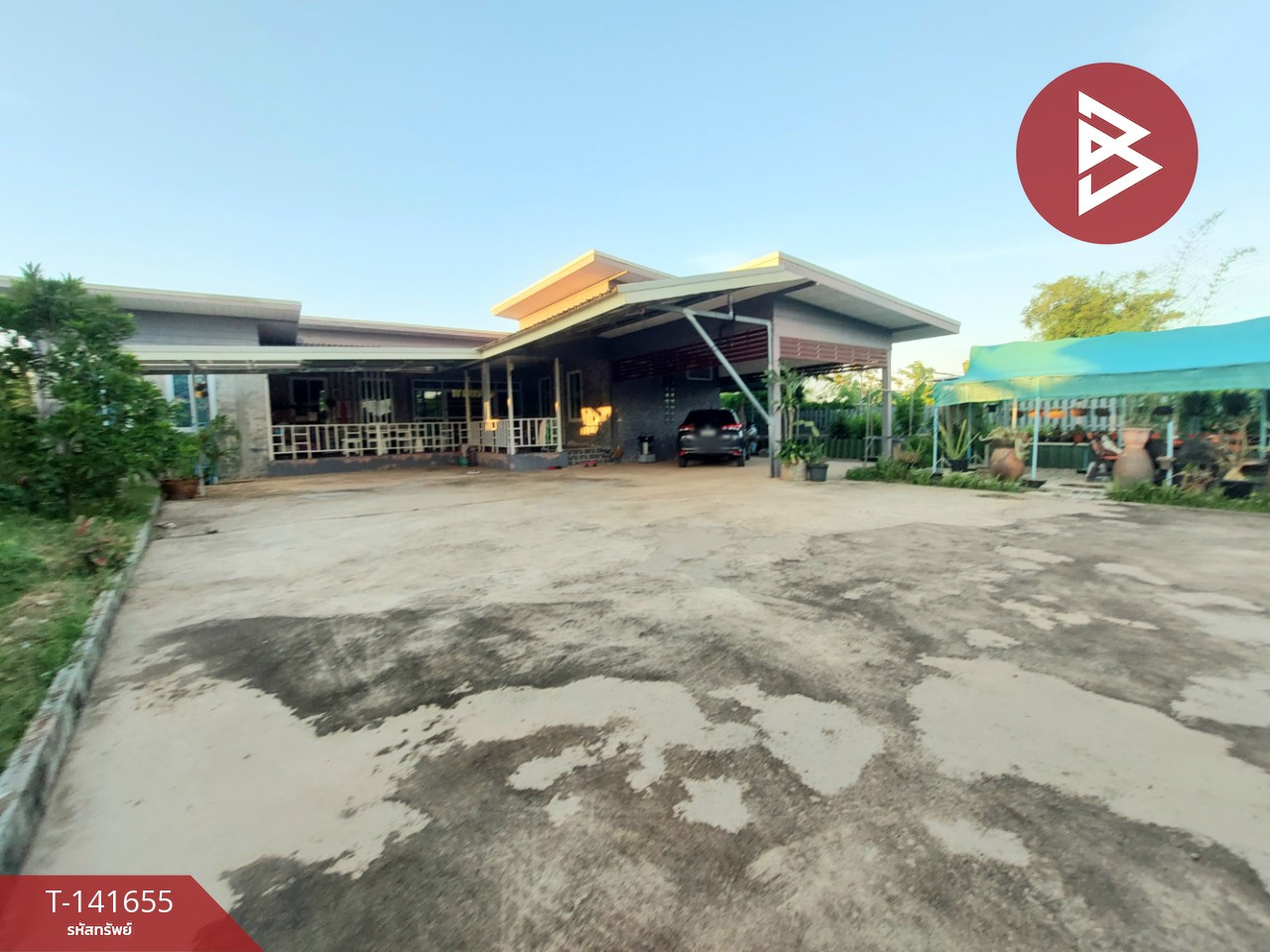 ขายบ้านเดี่ยว พร้อมกิจการบ้านเช่า โพนพิสัย หนองคาย ทำเลติดถนนใหญ่ – รูปที่ 3