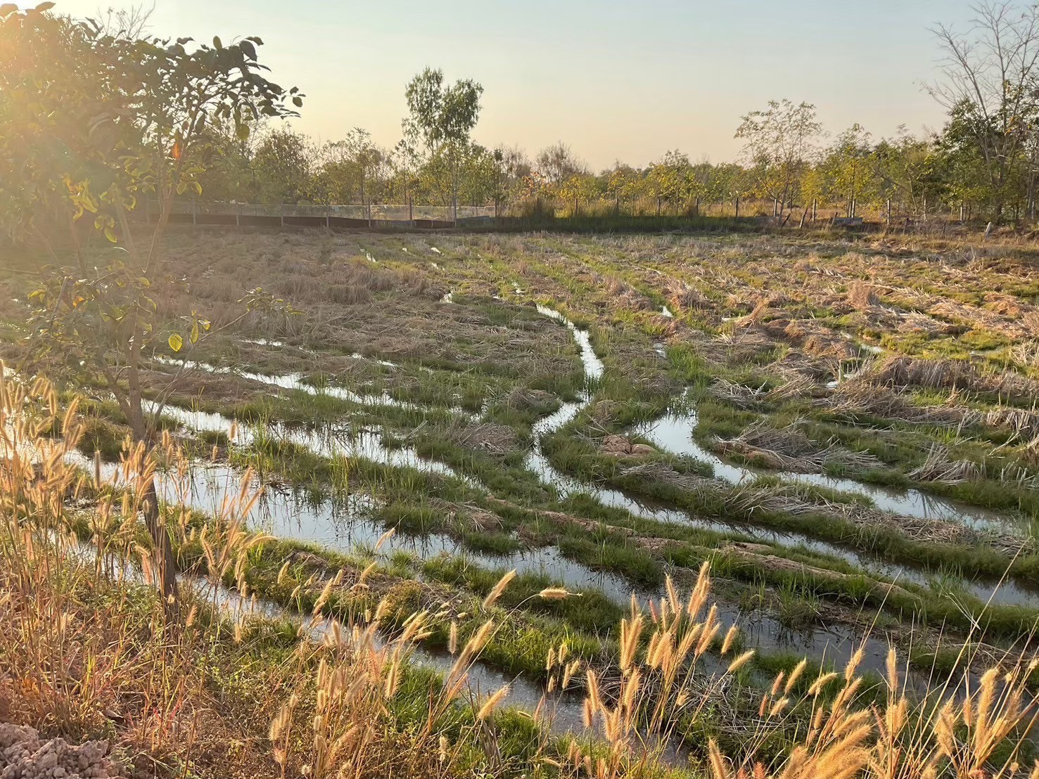 Urgent sale of land, good location, Udon Thani Province, 4 rai. Urgent sale of land, good location, Udon Thani Province, 4 rai.