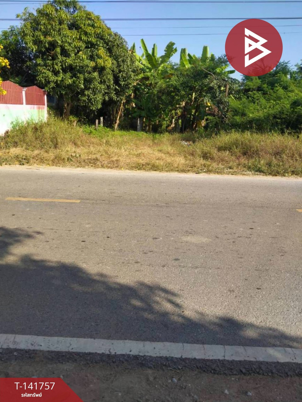 ขายที่ดิน เนื้อที่ 2 งาน 89.7 ตร.วา ลาดยาว นครสวรรค์ – รูปที่ 3
