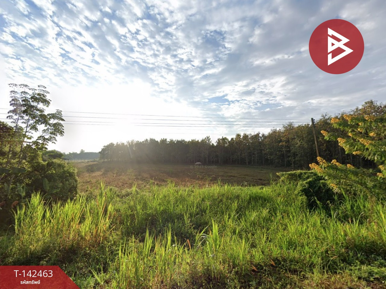  ขายที่ดิน เนื้อที่ 24 ไร่ 66.6 ตร.วา เชียงของ เชียงราย – รูปที่ 4