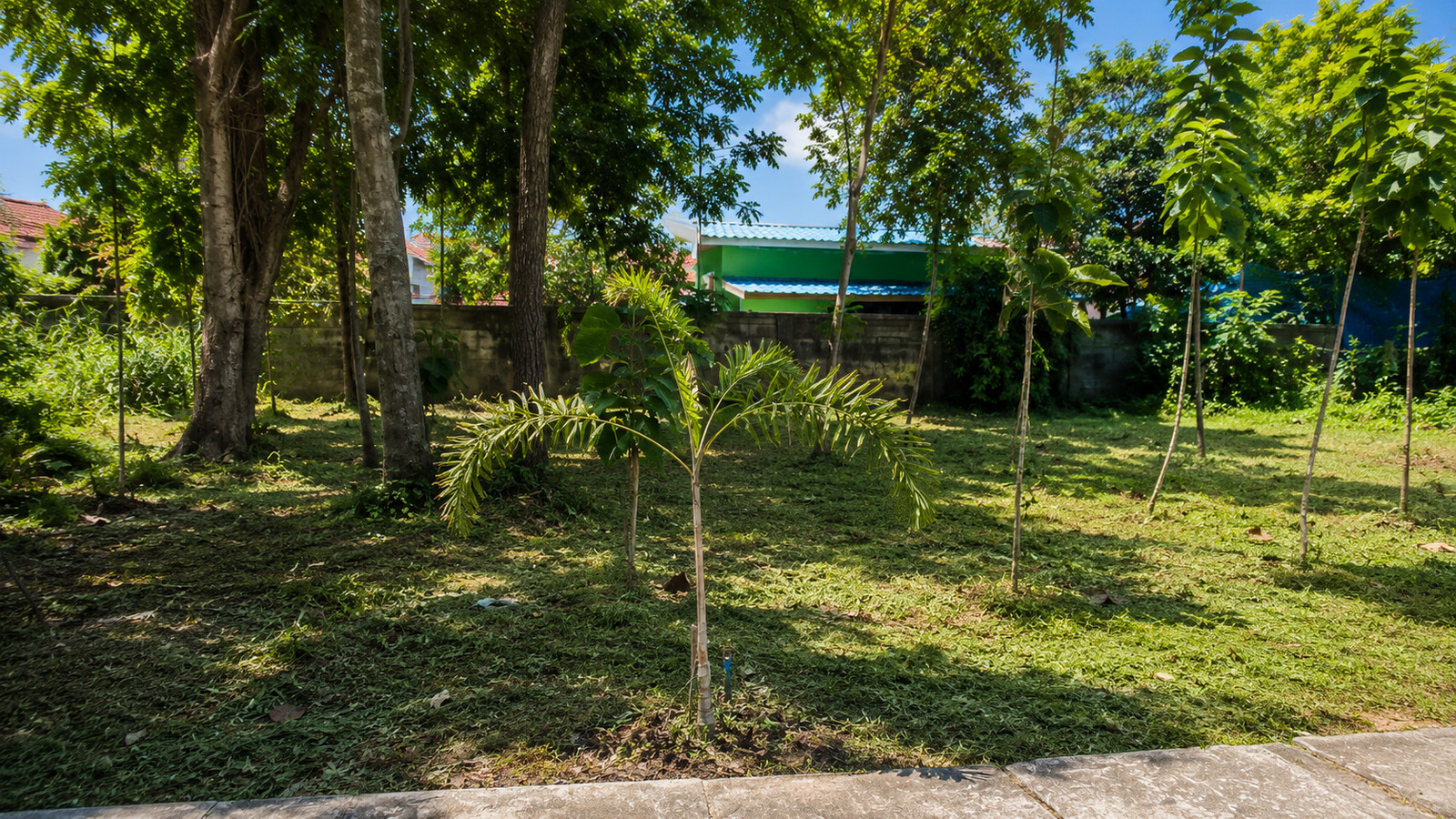 356 Sq.M. Residential Land for Custom Home Development in Forest Park Village, Khlong Sam Wa, Bangkok | Near Safari World – รูปที่ 2