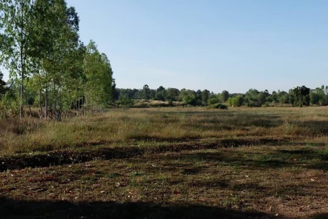 Urgent sale of land, good location, Udon Thani Province, 15 rai. Urgent sale of land, good location, Udon Thani Province, 15 rai.