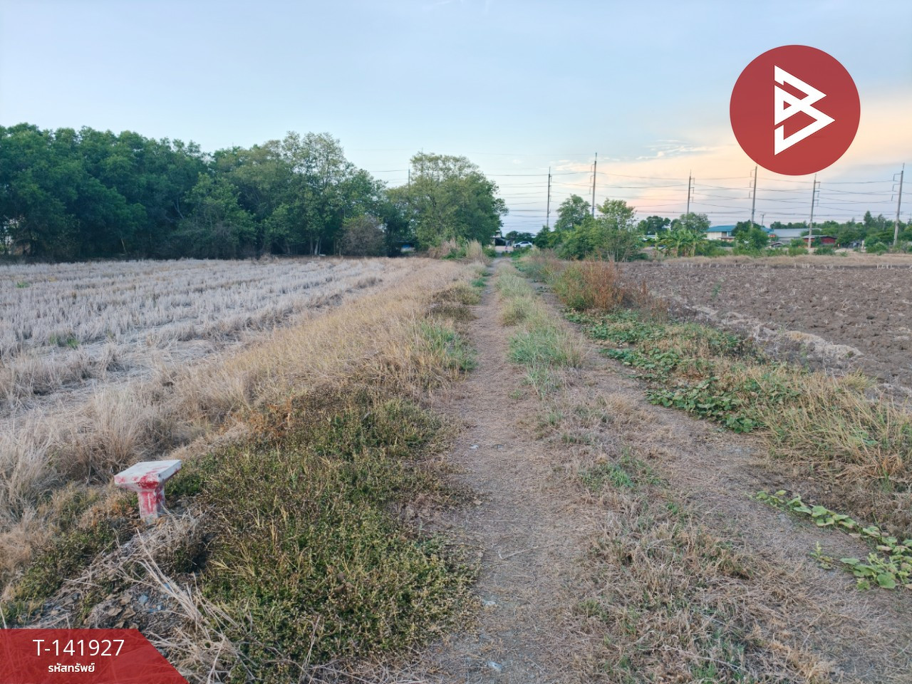 ขายที่ดิน เนื้อที่ 90 ตร.วา บางขวัญ ฉะเชิงเทรา – รูปที่ 2