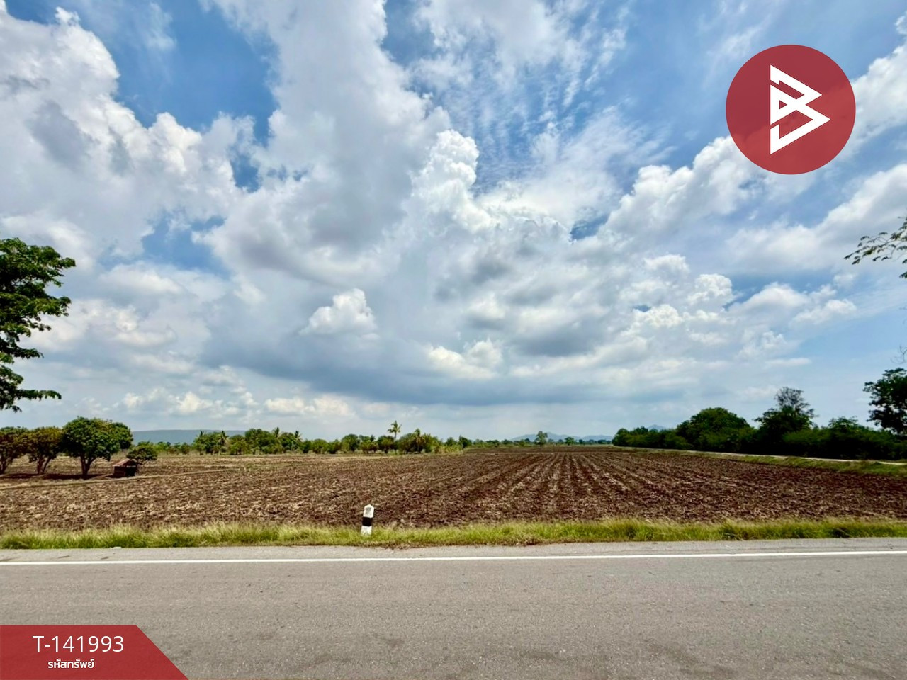 ขายที่ดินติดถนน เนื้อที่ 26 ไร่ 1 งาน 66 ตร.วา ต.เกาะแก้ว อ.โคกสำโรง ลพบุรี – รูปที่ 2