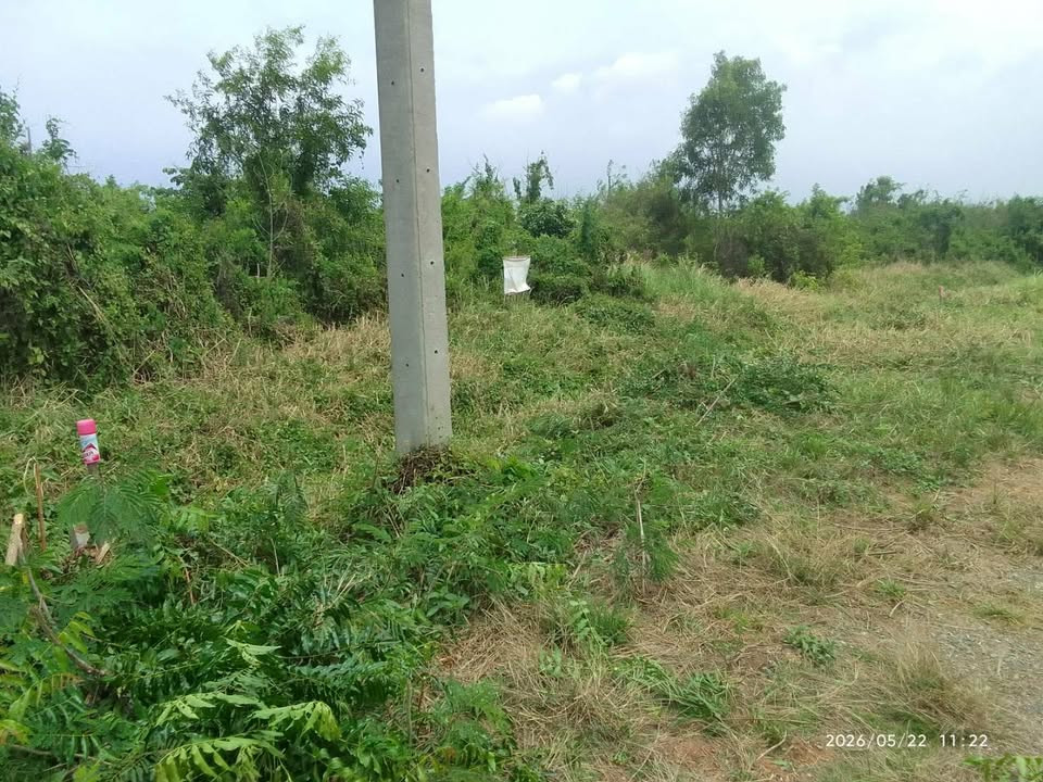 Land for sale 1 ngan 10 sq m., Don Ko Ka Subdistrict. Bang Nam Priao District Chachoengsao Province Light green city plan, quiet location, surrounded by nature.  Suitable for building a house, garden house or buying for future investment. Travel connectin – รูปที่ 4