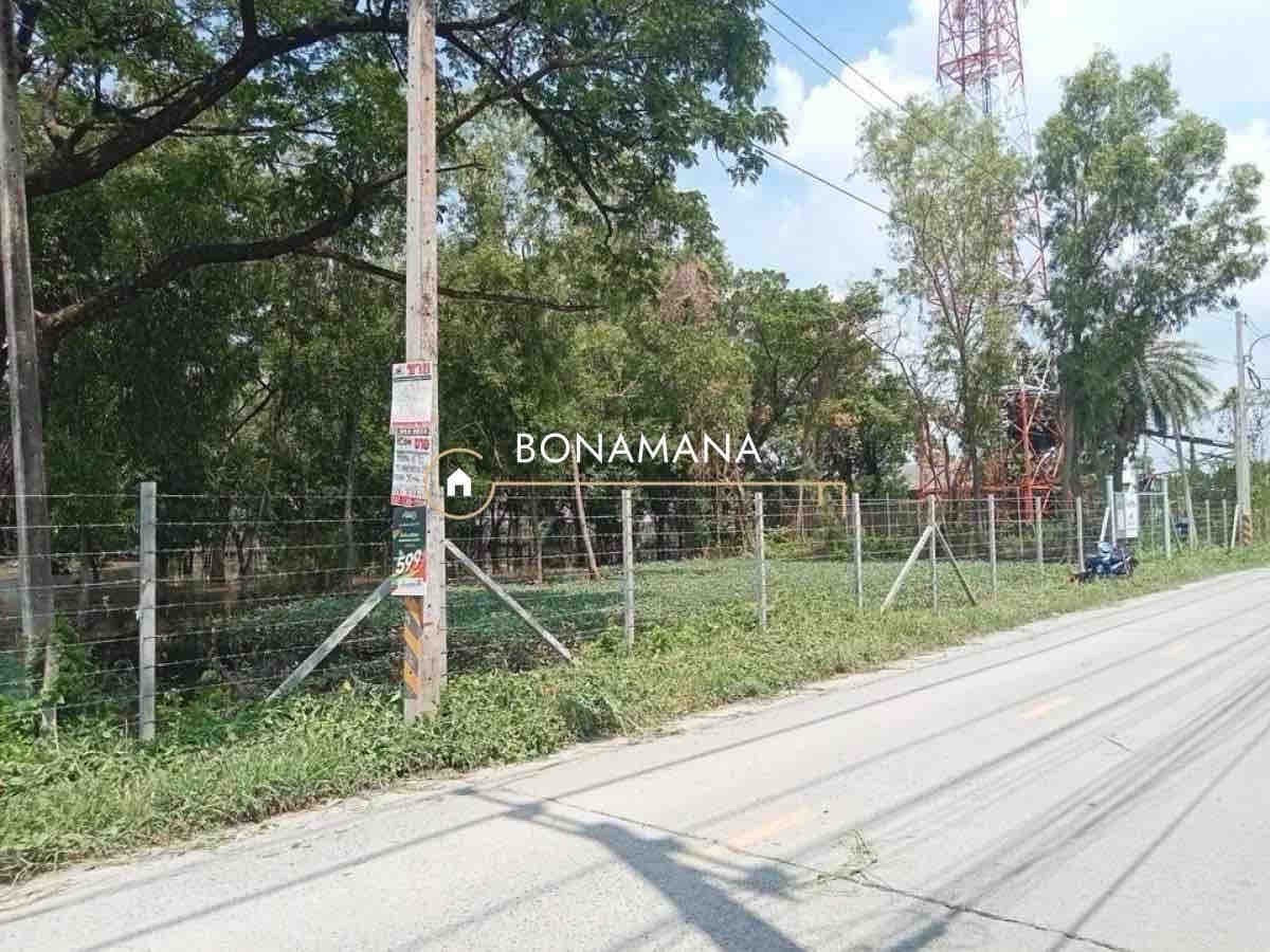 ขาย/เช่า ที่ดิน 4 ไร่ รังสิต คลอง 3 (อ.คลองหลวง) – รูปที่ 2