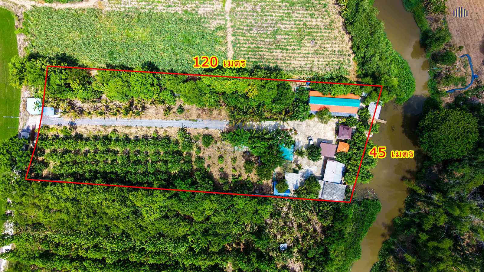 Urgent Sale! Waterfront Resort-Style Land with 5 Guest Rooms A shady atmosphere nestled amidst a fruit orchard. Total usable area of over 4.5 Rai. Located in Yang Non, Doem Bang Nang Buach, Suphan Buri. Incredible value! – รูปที่ 4