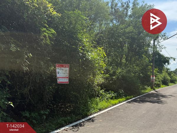 Land for sale, area 4 rai 3 ngan 81.5 square wah, Hua Wiang, Lampang.
