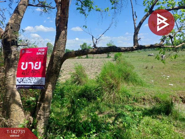 Land for sale, area 4 rai 95 sq m, Rattanawapi, Nong Khai.