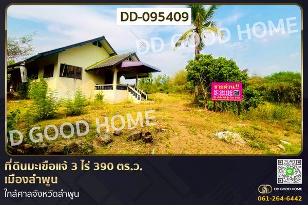 Land for sale in Makham Chae, Mueang Lamphun, 3 Rai 390 Sq.Wa,  DD-095409
