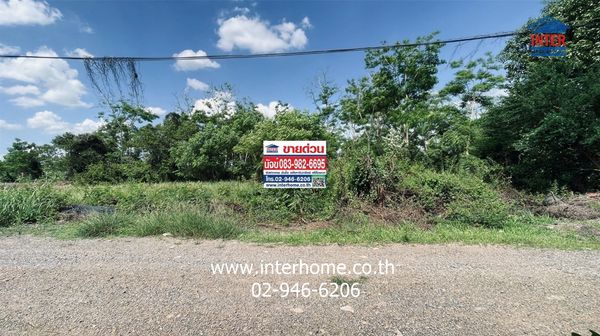 ที่ดินเปล่า 100 ตร.ว. ที่ดิน ระหว่างซอยหมู่บ้านเทพธารินทร์ คลอง11 กับซอยลำลูกกา231 ถนนรังสิต-นครนายก ถนนลำลูกกา ธัญบุรี ปทุมธานี