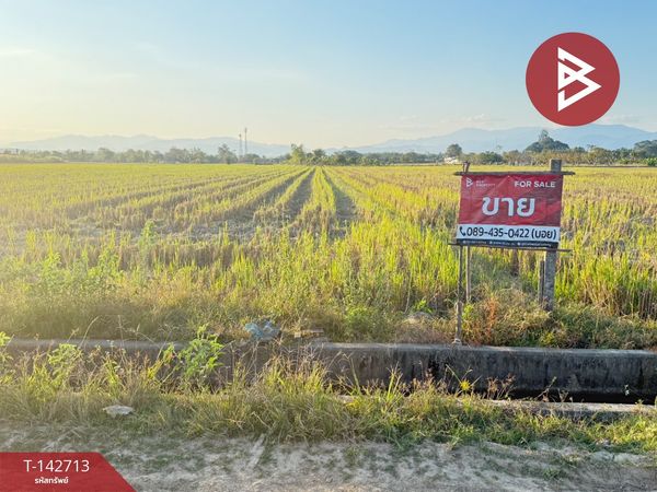 Land for sale, area 4 rai 50.3 sq m, Mae Taeng, Chiang Mai.