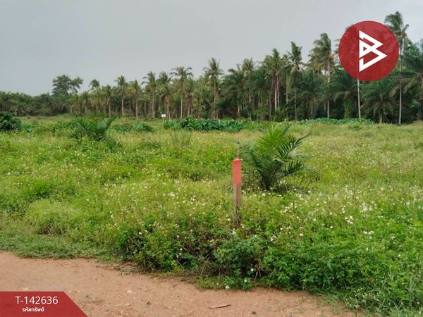 Land for sale, area 10 rai 34.8 sq m, Thung Kha, Chumphon.