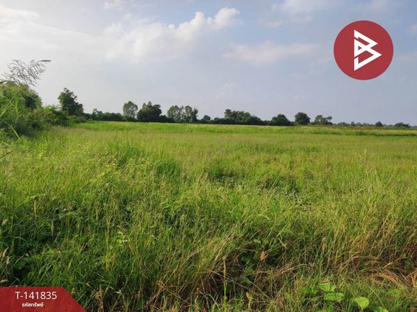 Land for sale, area 25 rai 3 ngan 16.6 sq m, Mueang Kao, Phichit.