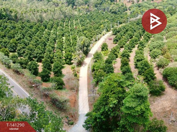 Land for sale, area 98 rai 2 ngan 62.3 sq m, Suan Lam Mai Mix, Tok Phrom, Mueang, Chanthaburi.