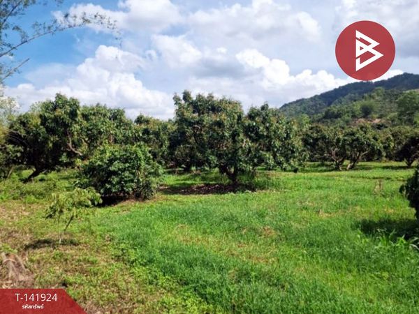 Land for sale, area 3 rai, Thoeng, Chiang Rai.