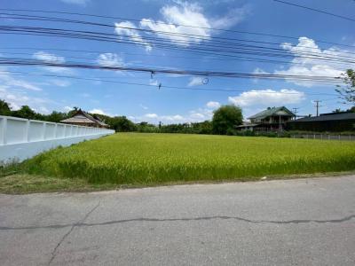 Land for Sale in Mae Rim, Chiang Mai, 3 Rai 1 Ngan 26 Square Wah, Near Prem Tinsulanonda International School.
