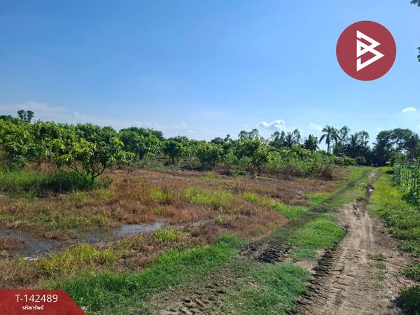 Land for sale, area 7 rai 2 ngan 23.0 square wa, Doembang Nangbuat District, Suphan Buri.
