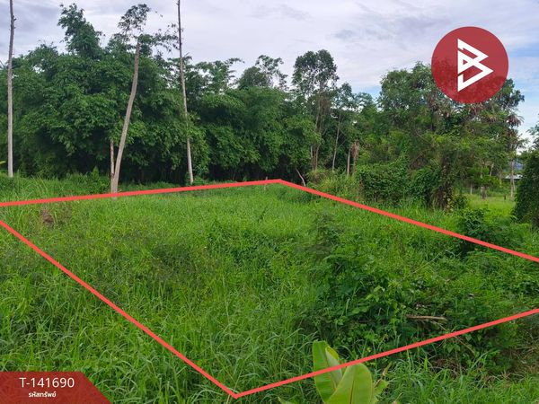 Empty land for sale, area 1 ngan, 81.7 sq m, Ban Bueng, Chonburi.