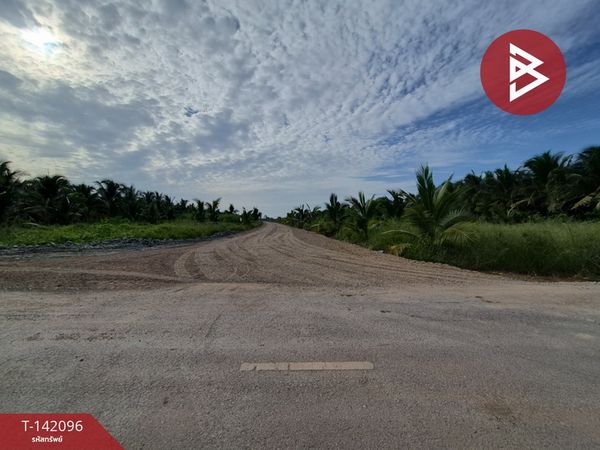 7 plots of land for sale, area 8 rai 2 ngan 60 square wah, Amphawa, Samut Songkhram.