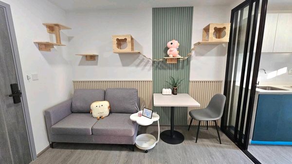 🏢 ขายคอนโด Kave Wonderland ตรงข้าม ม.ธรรมศาสตร์รังสิต | เลี้ยงสัตว์ได้ 🐈🐾