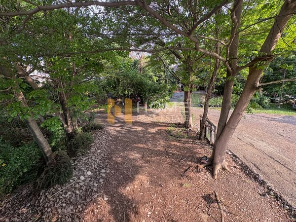 Land Kamphaeng Phet 6 Soi 7 Yaek 3 - 8 (For Sale), Land Kamphaeng Phet 6 Soi 7 Yaek 3 - 8 (FOR SALE) TPM418