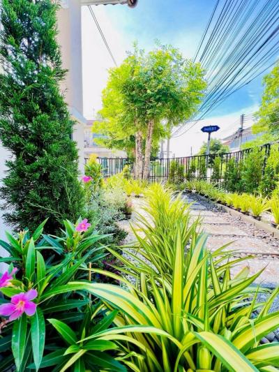 For Sale House , Chaiyaphruek 1 , corner unit , newly renovated , Bang Khu Wat , Mueang Pathum Thani , Pathum Thani , CX-157207
