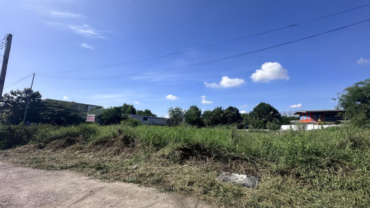 For Sale ที่ดิน สุสวาส 23 , wide frontage , Lat Sawai , Lam Luk Ka , Pathum Thani , CX-158869 For Sale ที่ดิน สุสวาส 23 , wide frontage , Lat Sawai , Lam Luk Ka , Pathum Thani , CX-158869