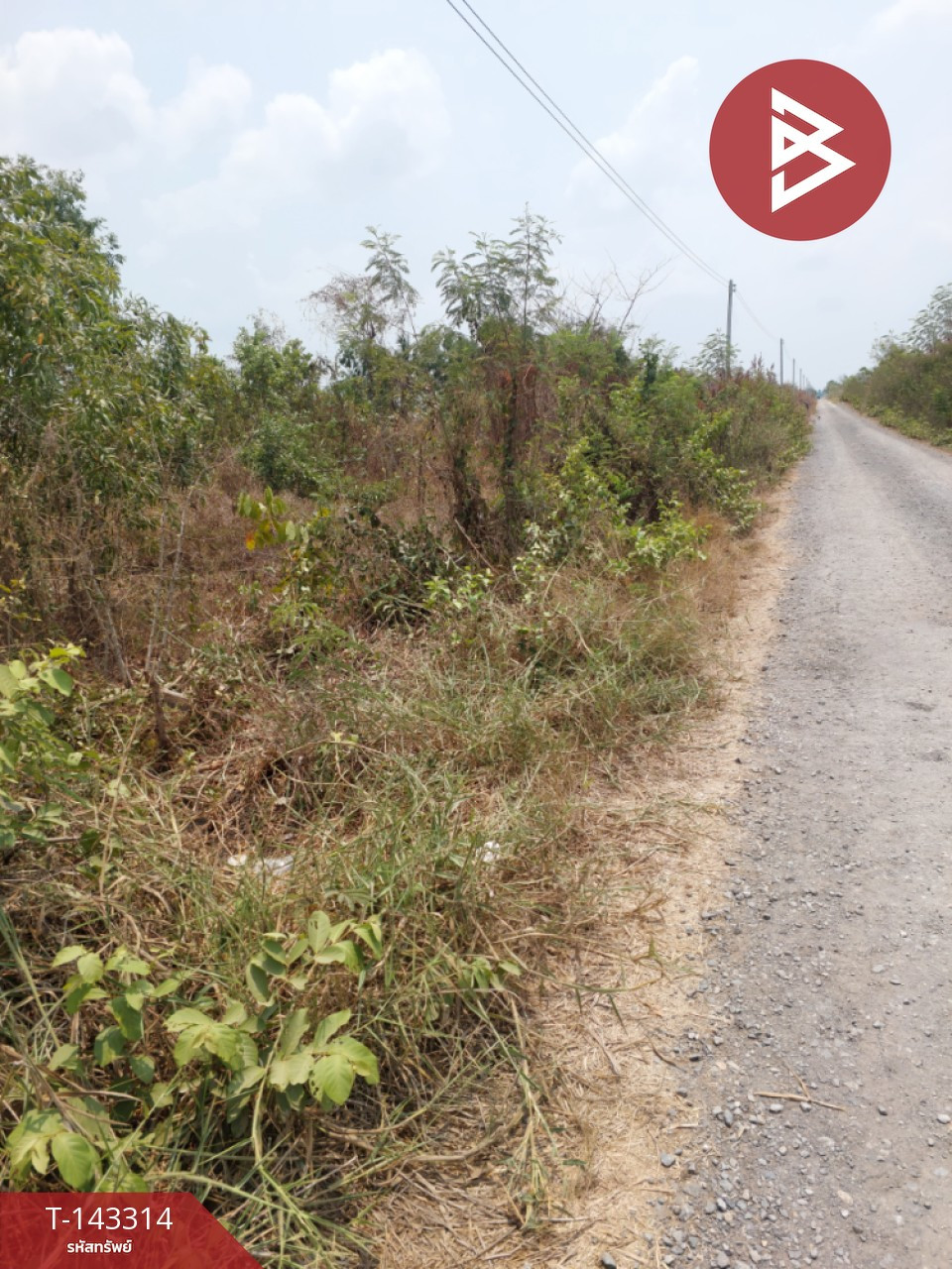 ขายที่ดิน เนื้อที่ 2 งาน 40 ตร.วา องครักษ์ นครนายก – รูปที่ 3