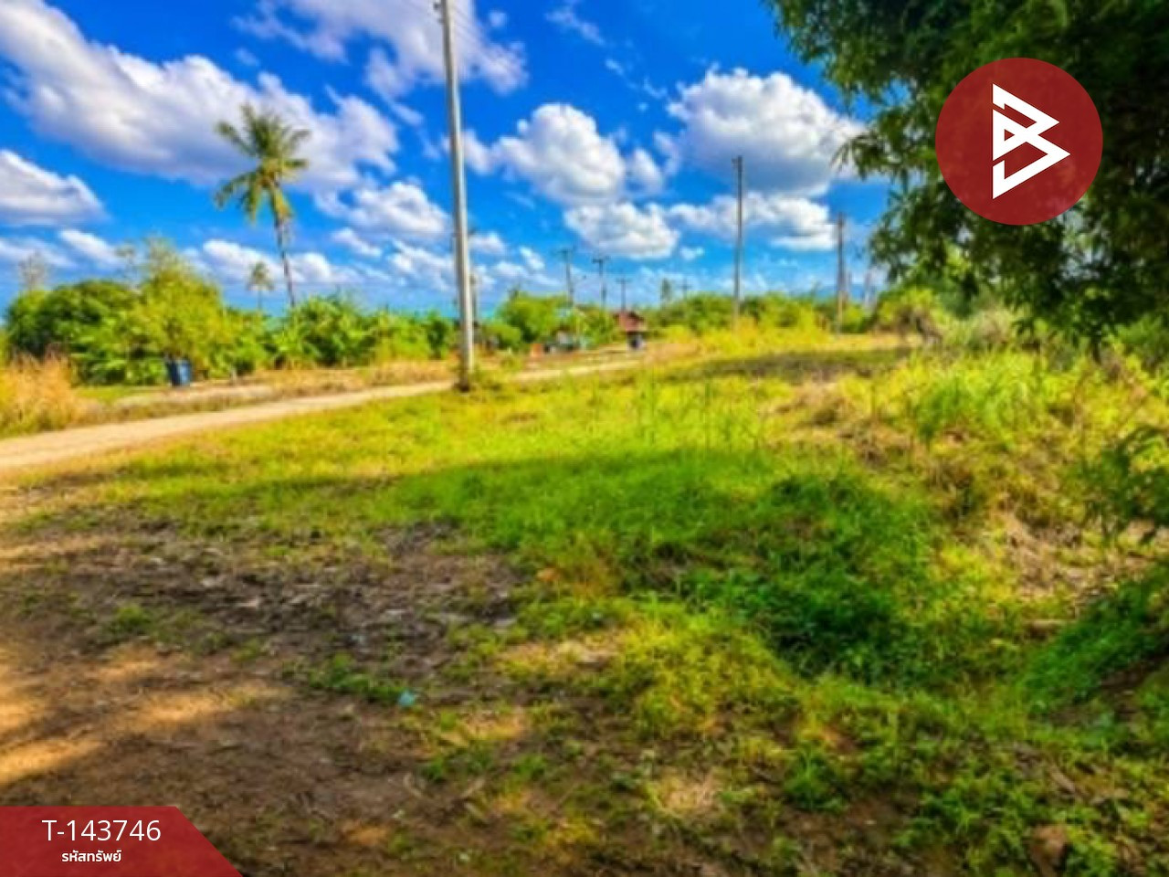 ขายที่ดิน เนื้อที่ 10 ไร่ ปากแคว สุโขทัย – รูปที่ 4