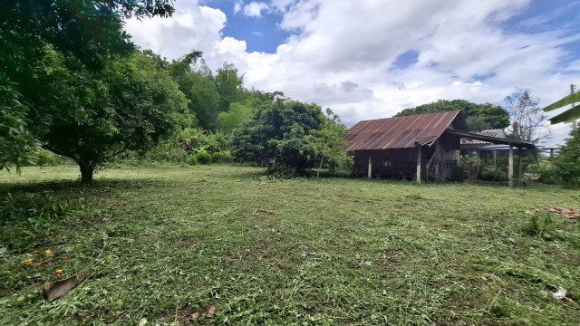 Land for sale, over 1 rai, San Sai Subdistrict, Mueang Chiang Rai, already filled, free transfer, suitable for building a house and a resort. – รูปที่ 2