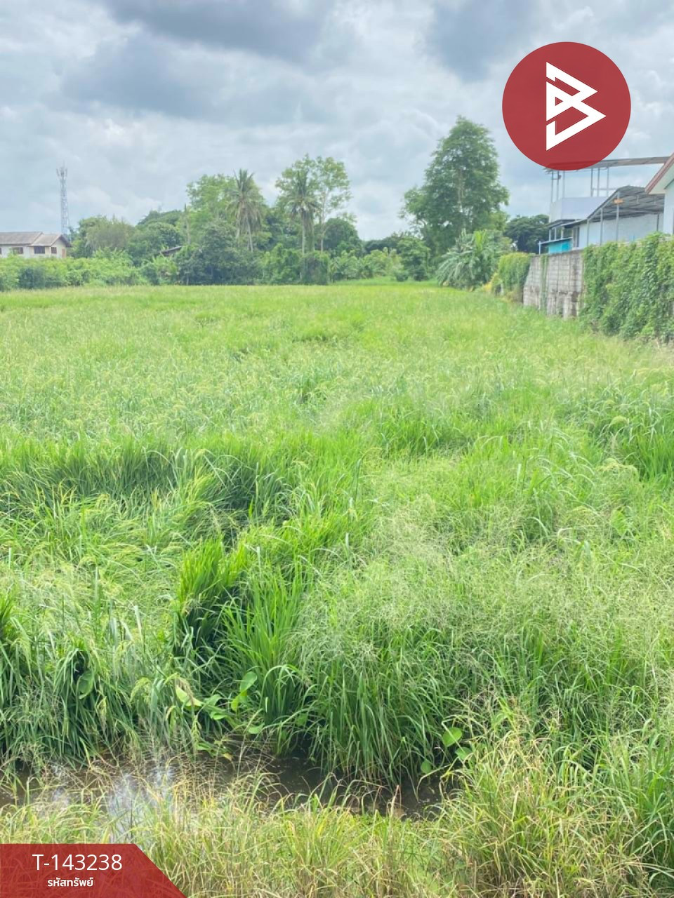 ขายที่ดิน เนื้อที่ 4 ไร่ 92 ตร.วา ท่าโพธิ์ พิษณุโลก – รูปที่ 3