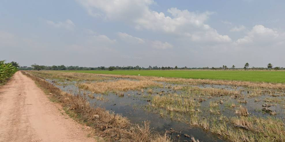 Land for Sale in Lam Toi Ting, Nong Chok, Bangkok 3 Rai | Green Zoning | Approx. 189 m. Wide Frontage | THB 950,000 per Rai – รูปที่ 2