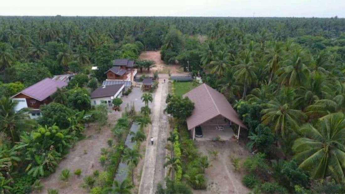 ที่ดิน 6 ไร่ พร้อมบ้านทรงไทยและสวนมะพร้าว - บางคนที สมุทรสงคราม สอบถามโทร : 081-874-7072 – รูปที่ 3
