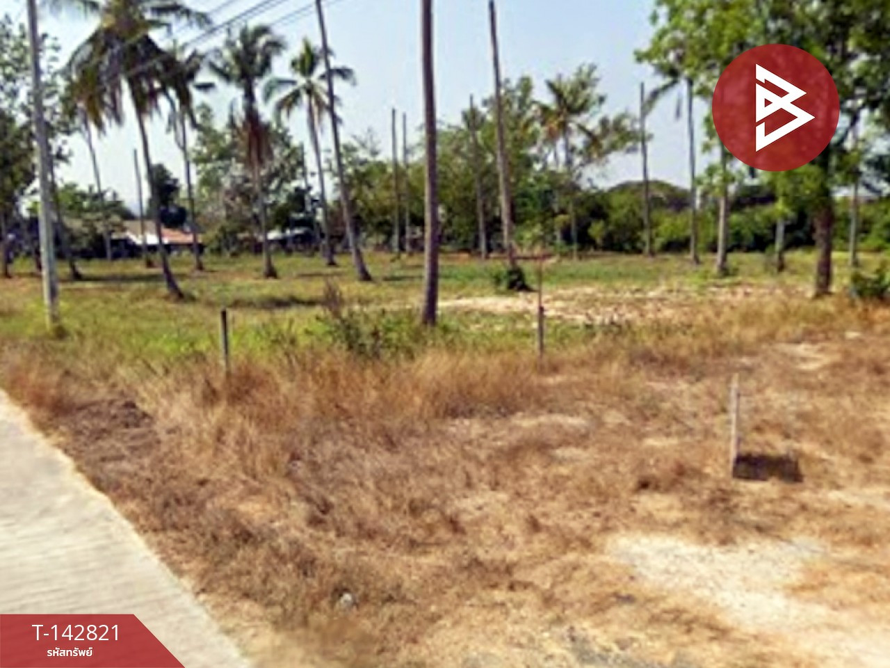 ขายที่ดิน เนื้อที่ 1 งาน 2 ตารางวา คลองวาฬ ประจวบคีรีขันธ์ – รูปที่ 3