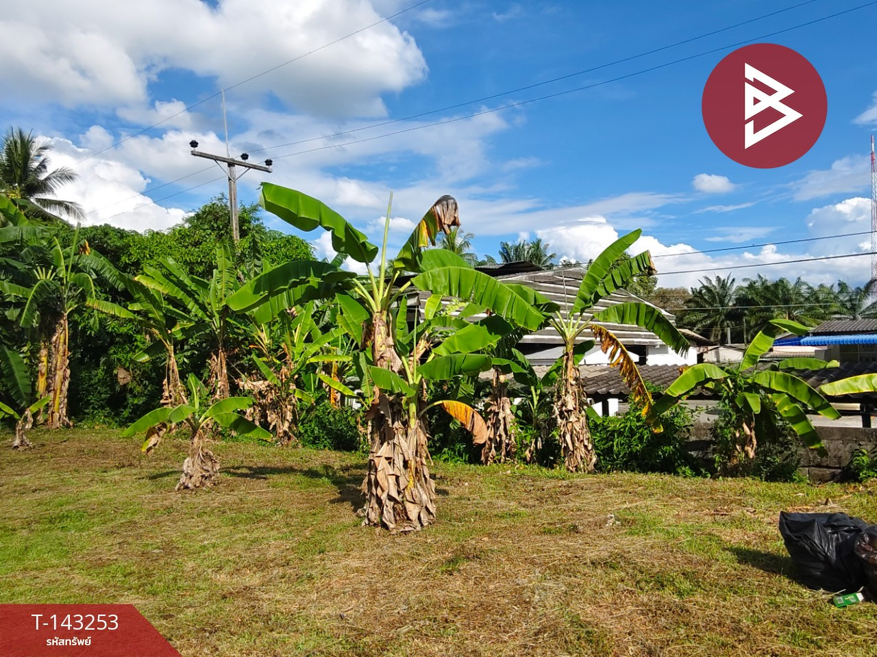 ขายที่ดิน เนื้อที่ 1 ไร่ 99.9 ตร.วา ท่าเรือ นครศรีธรรมราช – รูปที่ 3