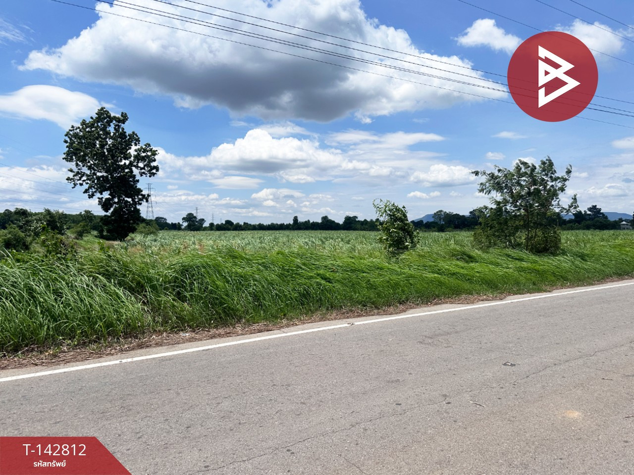 ขายที่ดินบ้านสวน เนื้อที่ 11 ไร่ 55.5 ตารางวา หนองเรือ ขอนแก่น – รูปที่ 2
