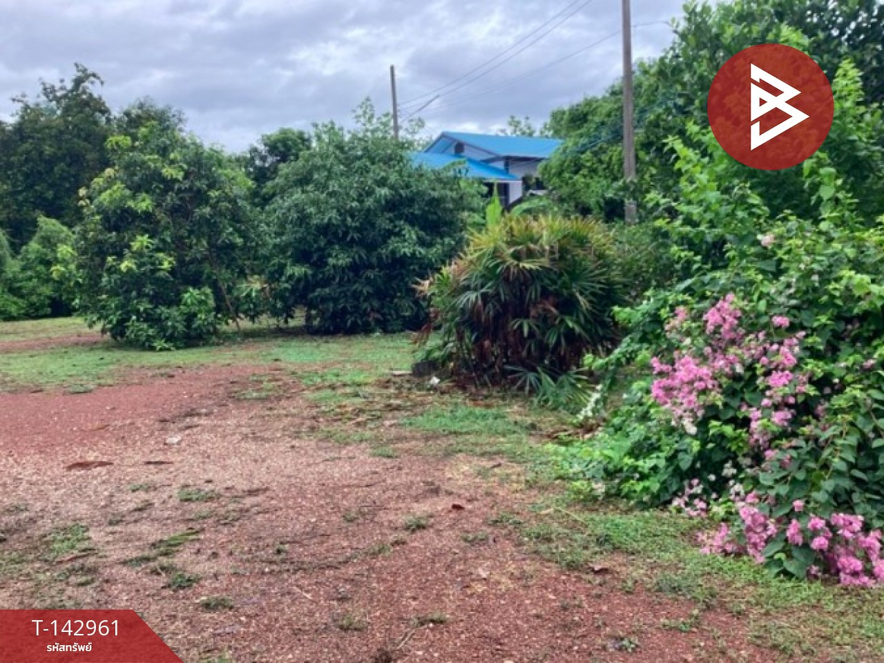 Land for sale, area 1 ngan 91 sq m, Ngio Ngam, Uttaradit. – รูปที่ 3